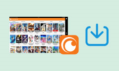 Crunchyroll Downloader