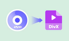 DVD to DivX