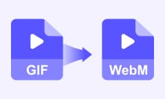 GIF to WebM