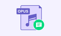 OPUS-Codec