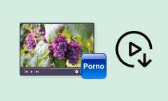 Porno Downloader