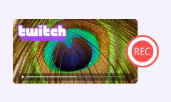 Twitch Stream aufnehmen