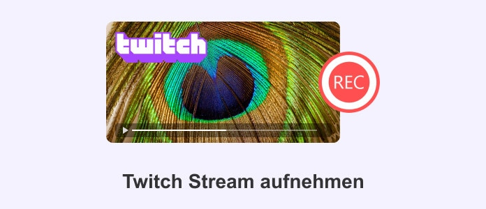 Twitch Stream aufnehmen