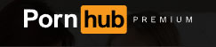 Pornhub-Video downloaden mit Premium