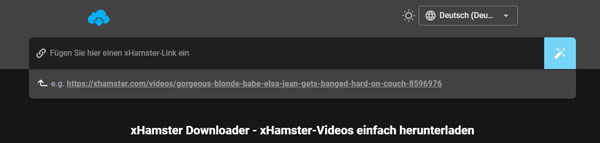 xHamster Video downloader Online