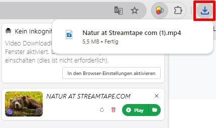 Download von Streamtape überwachen