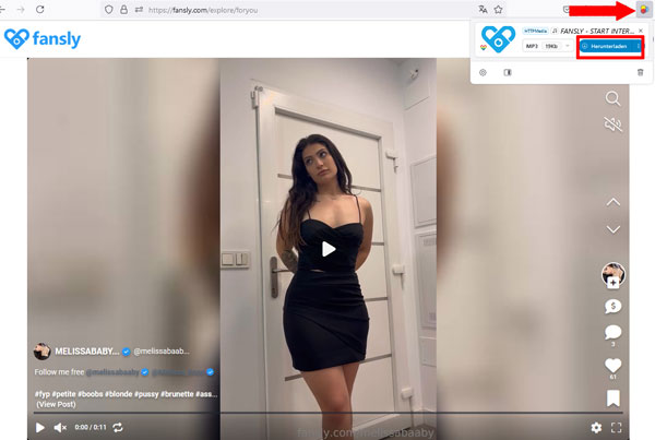 Fansly Video mit Firefox Erweiterung herunterladen