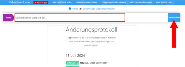 Videoanalyse mit PasteDownload.com starten